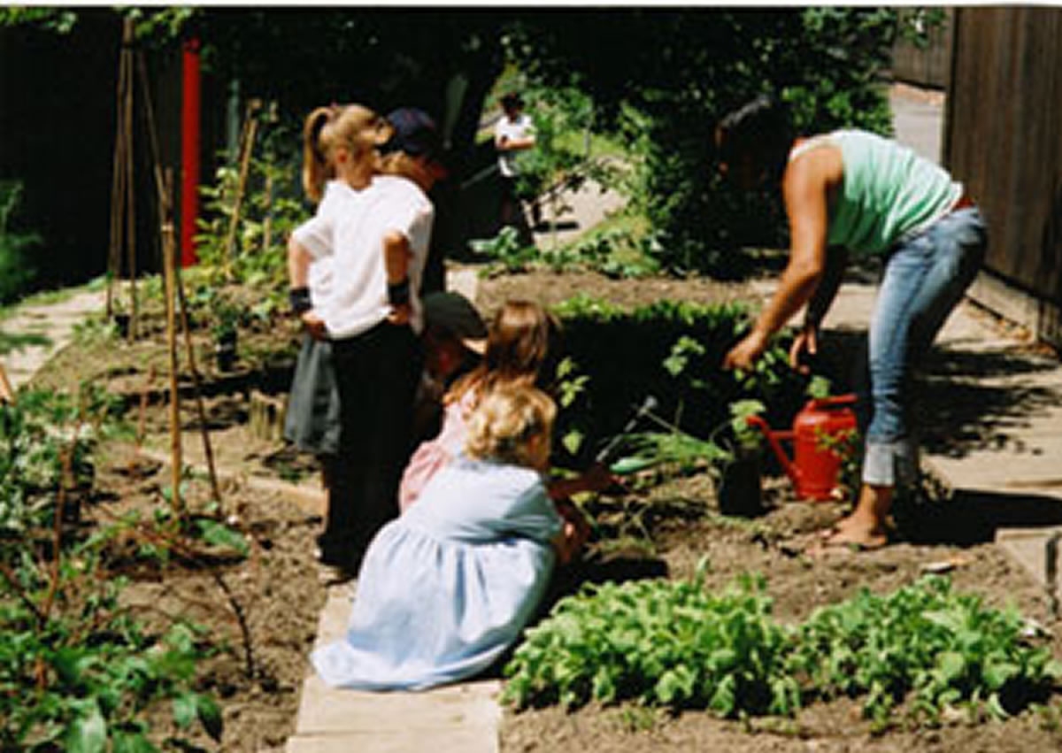 Gardening in schools