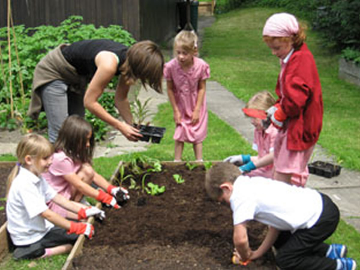 Gardening in schools